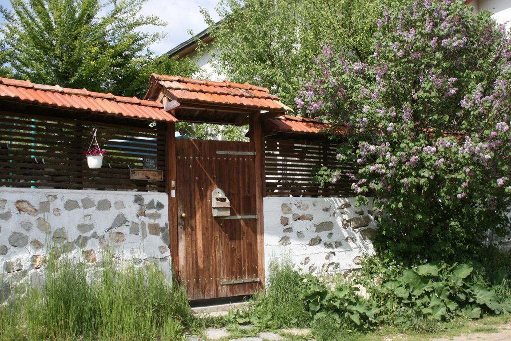 Guest House Kamenik ياغودينا المظهر الخارجي الصورة